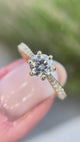 Vivette - classic ring with 0.70 ctw diamonds in white gold